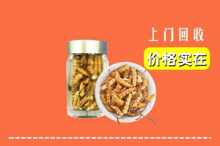 东宝区回收散虫草