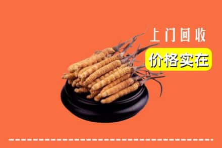 东宝区回收冬虫夏草